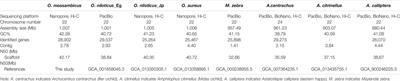 A Chromosome-Level Genome Assembly of Mozambique Tilapia (Oreochromis mossambicus) Reveals the Structure of Sex Determining Regions